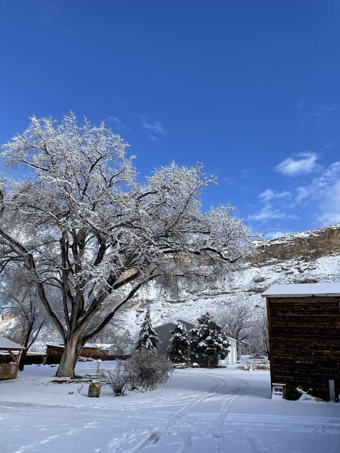 The Homestead Palisade Bagian luar foto